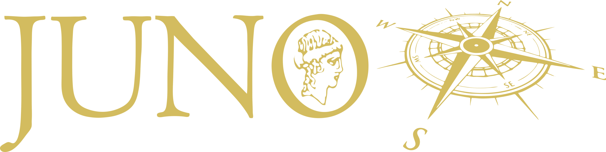     sailingjuno.com